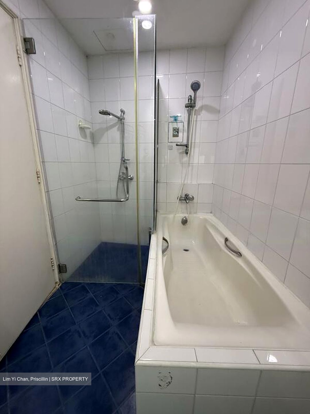 Astor Green (D21), Condominium #465729981